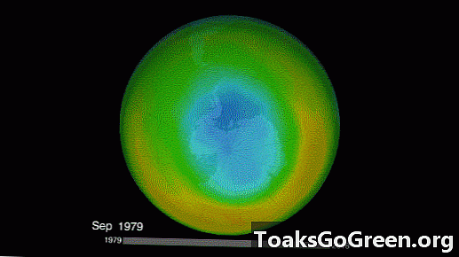 2017 ozono skylė mažiausia nuo 1988 m
