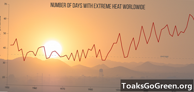 국제 보고서에 따르면 2017 년은 기록상 가장 따뜻한 해였습니다.