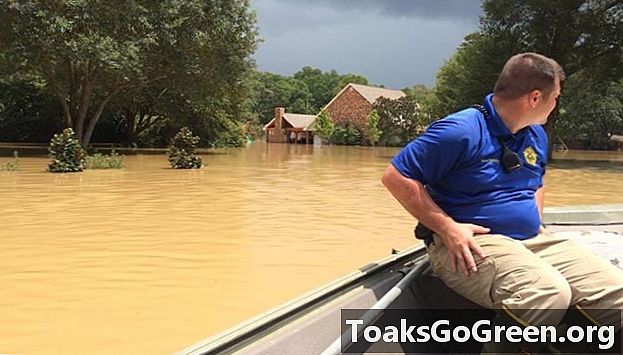 Peranan perubahan iklim di banjir Louisiana