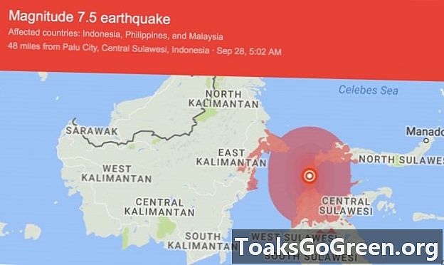 インドネシアの地震で死亡者数が800人を超える