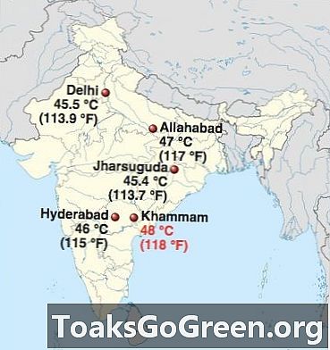 بھارت میں گرمی کی لہر نے 1،100 کو ہلاک کردیا