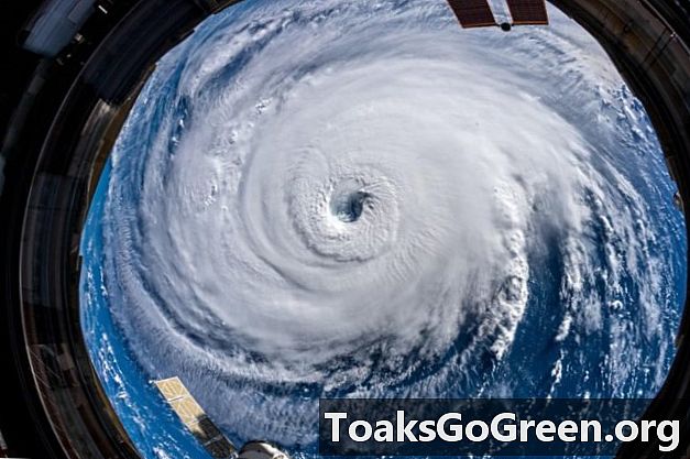 كيف يتوقع خبراء الأرصاد الإعصار الكبير المقبل