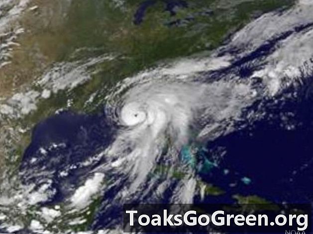 Orkaan Hermine tabab Florida rannikut