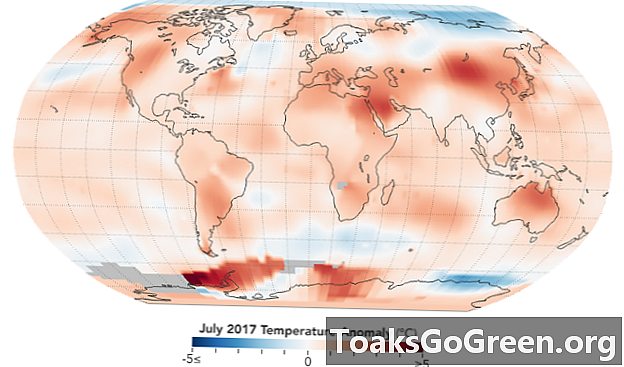2017年7月与2016年并列为最热的7月