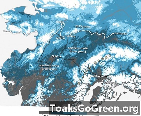 Sniego jėgų trūkumas „Iditarod“ prasideda šiaurėje