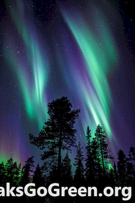 Fotos d'amics: una aurora de la primera temporada a Lapònia