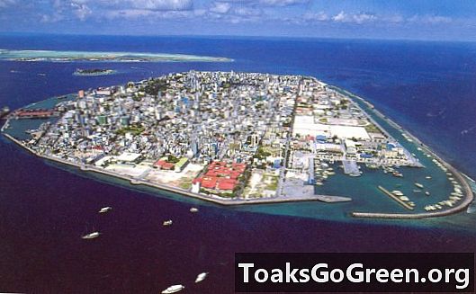 Steder å dra: Maldivene er verdens laveste land