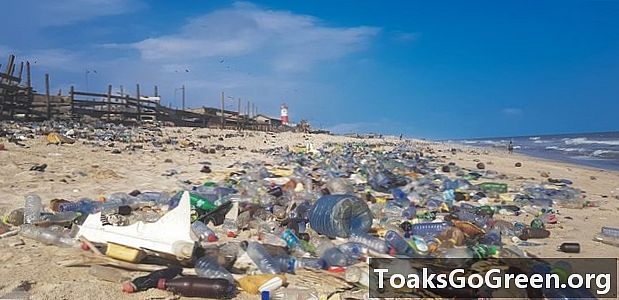 Замърсяването с пластмаса е влязло в изкопаемите рекорди, се казва в проучването - Земя