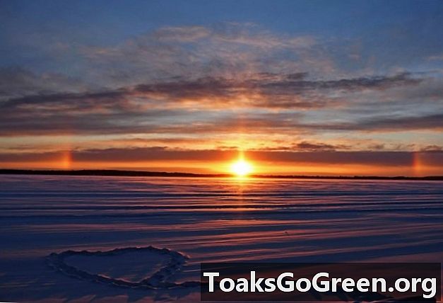 Photos et vidéos du vortex polaire 2019