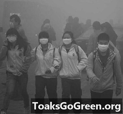 Smog interromp la vida al nord-est de la Xina