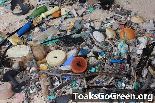 Denne stillehavsøya er det mest plastforurensede stedet på jorden