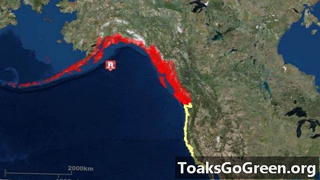 Предупреждения о цунами, выпущенные - позже отмененные - после мощного землетрясения на Аляске