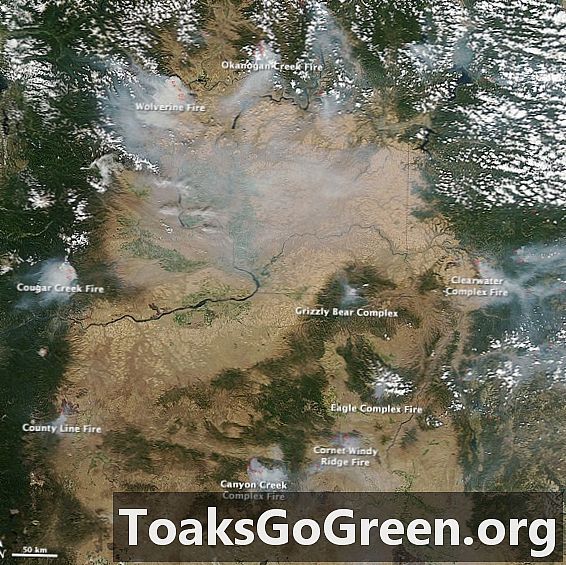 Vista des de l’espai: Incendis al nord-oest del Pacífic nord-americà