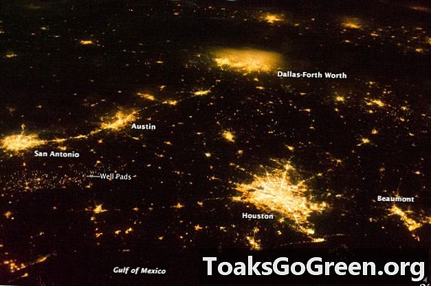 Pemandangan dari luar angkasa: Empat kota Texas terbesar