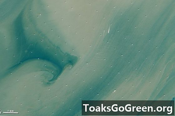Vaizdas iš kosmoso: didžiausias pasaulyje vėjo jėgainių parkas