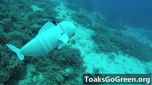Observa un peix robot nedant a l’oceà