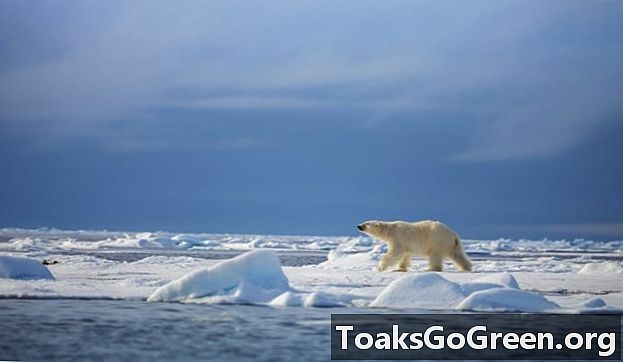 ما تغير المناخ في القطب الشمالي يعني بالنسبة لنا