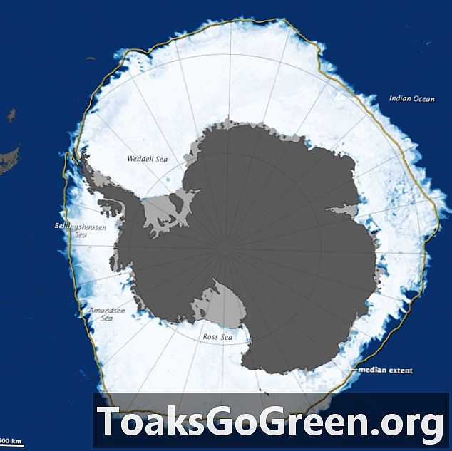 Hvorfor øker Antarktis havis når arktisk havis avtar?