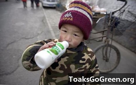 Skandal z mlekiem w 2008 roku: nowy zwrot w toksycznej historii Chin