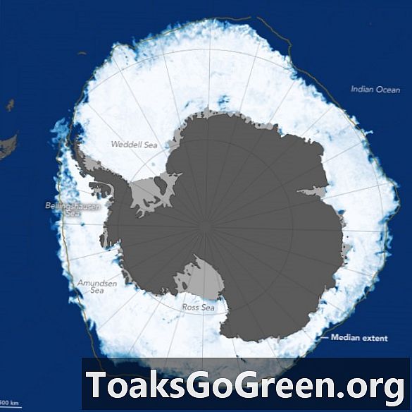 Площадь антарктического морского льда 2015 года