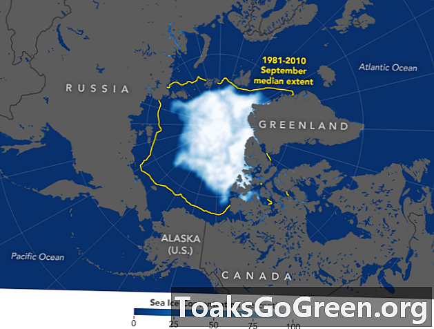 2019: s arktiska havsis minst 2: a lägst på rekord