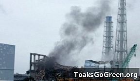 25 år efter Tjernobyl studerade Fukushima hälsoeffekter