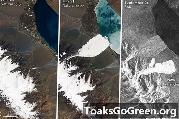 2a massiccia valanga di ghiaccio in Tibet