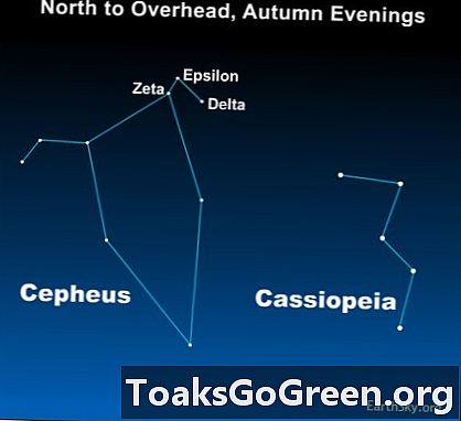 Ein berühmter variabler Stern in Cepheus