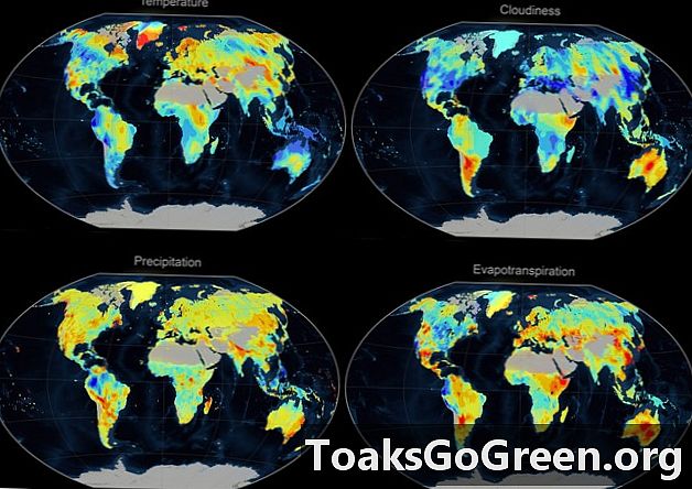 Pogled na svet zdaj razlaga 90 odstotkov sprememb vegetacije