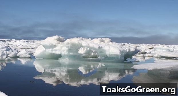 Yang baru normal untuk ais laut Artik?