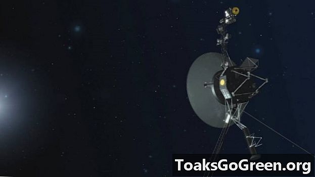 Pēc 40 gadiem Voyager joprojām sasniedz zvaigznes