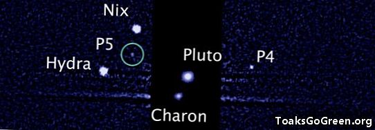 Алан Стерн на місяцях Плутона