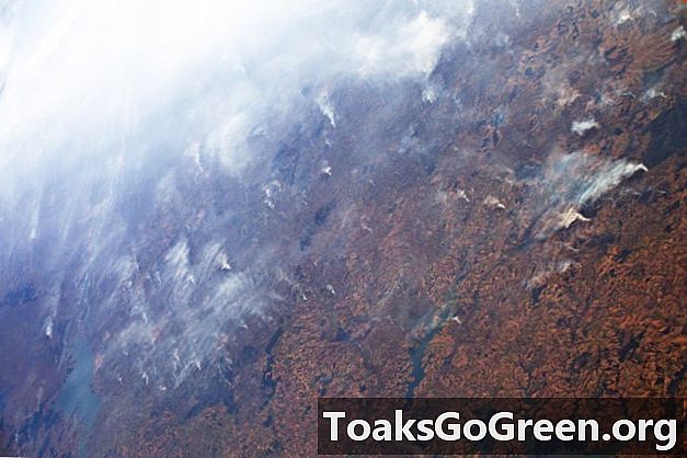 Amazonasfeuer von der ISS aus gesehen