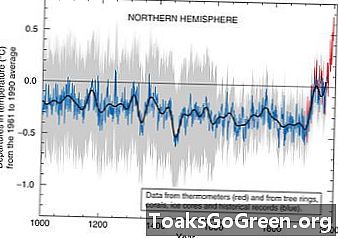 元気候懐疑論者による分析は地球が温暖化していることを確認
