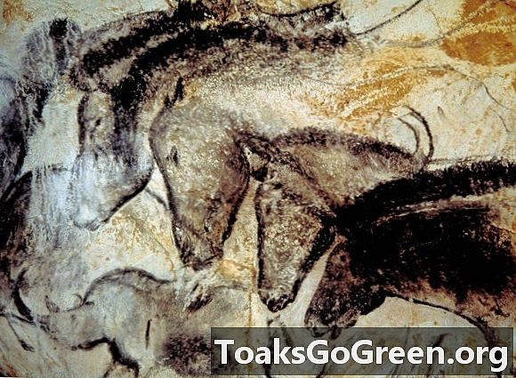 Ancient DNA viser gamle hulemalerier afbildede ægte heste