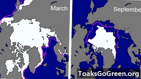 Karta pre Arktídu za rok 2011