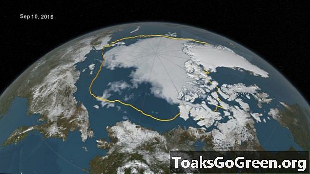 Arktický mořský led 2. - nejnižší v záznamu