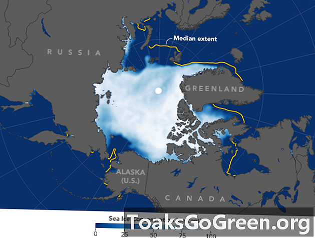 الجليد البحري في القطب الشمالي عند مستوى قياسي منخفض