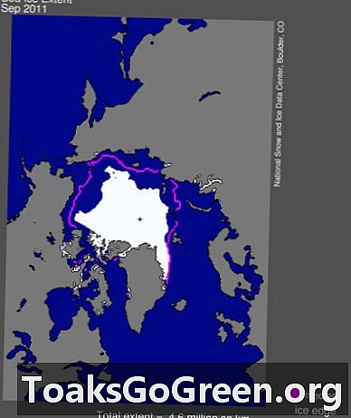 Arktisk havis nåede rekordlave i 2011