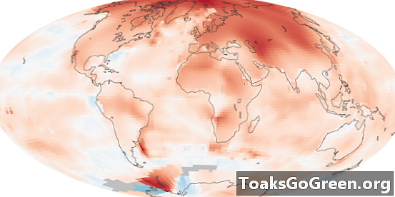 Maapallon lämpenemisen myötä Arktinen alue lämpenee nopeimmin - Muut