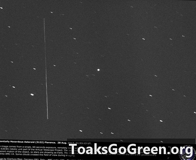 Asteroid 3122 Firenze: video ja pildid