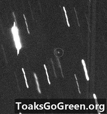 Asteroid Apophis soll am 9. Januar 2013 dicht an der Erde vorbeifegen