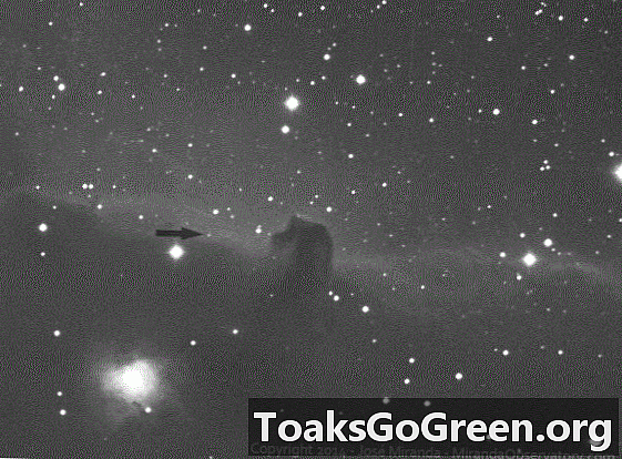 Asteroidul perie Nebuloasa Capului de Cal