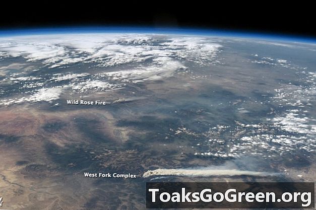 Astronautenansicht von Colorado-Bränden