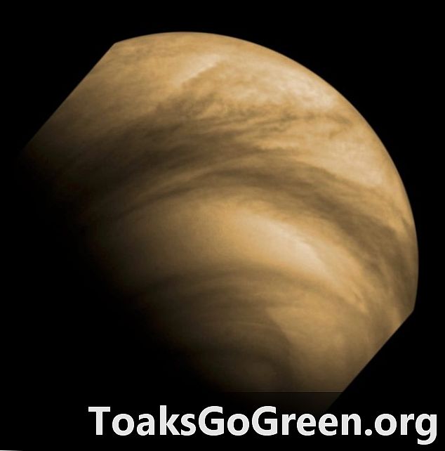 Pinag-iisipan ng mga astronomo ang posibleng pag-unlad ng buhay sa mga ulap ng Venus