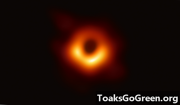 黑洞图像证实了爱因斯坦的相对论