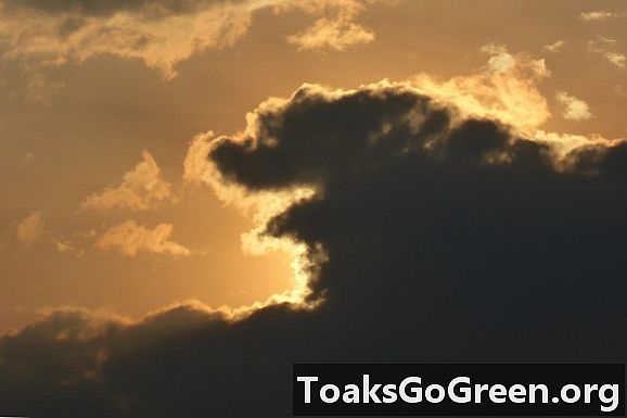 Barking Dog Cloud