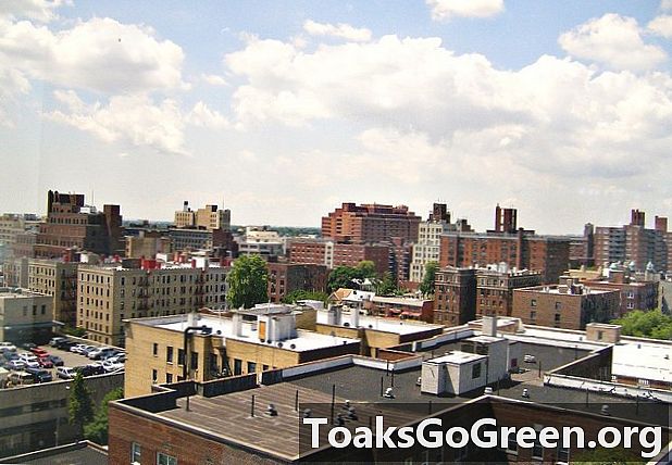 Koel zijn in New York City met witte daken