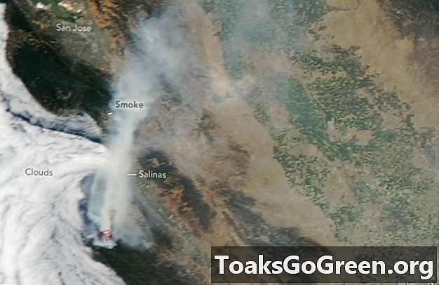 Wildfire van Californië vanuit de ruimte