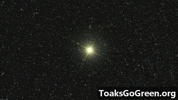 کیپیلا 2 سنہری ستارے ہیں